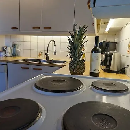 Large With Fantastic View Apartment